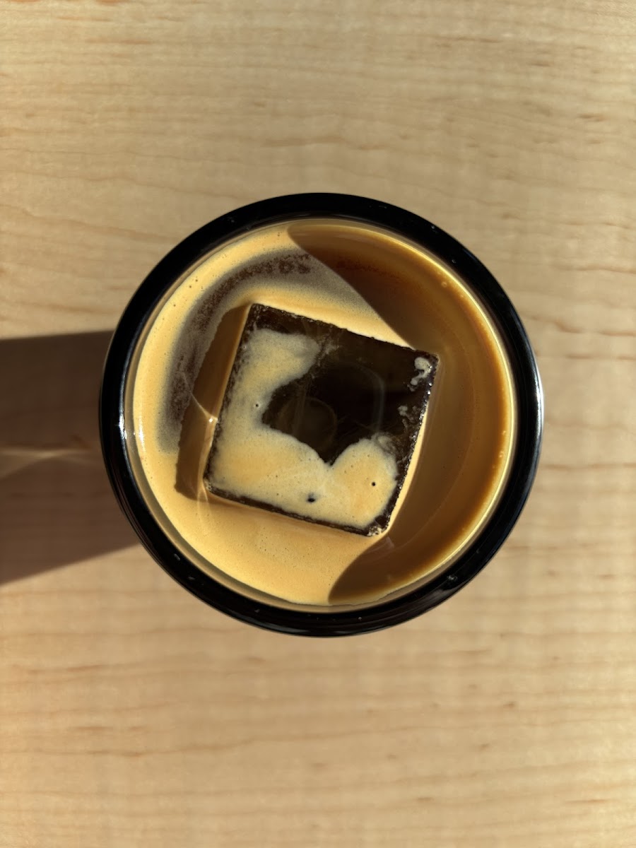 Iced coffee with a coffee ice cube